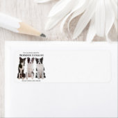 Teruggaveadreslabels voor Border Collie Etiket (Insitu)