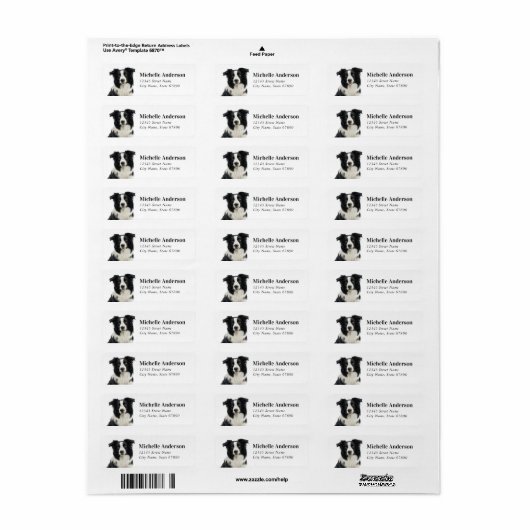 Teruggaveadreslabels voor Border Collie Etiket (Full Sheet)