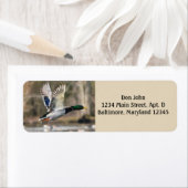 Teruggaveadreslabels voor Mallard Duck Etiket (Insitu)