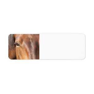 Teruggaveadreslabels voor paarden etiket