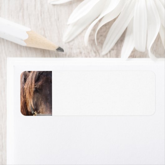 Teruggaveadreslabels voor paarden etiket (Insitu)