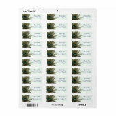 Teruggaveadreslabels voor pauwenveer etiket (Full Sheet)