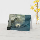 Teruggetrokken Ijsbeer Kaart (Gele Bloem)