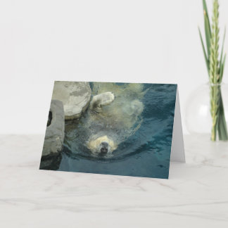 Teruggetrokken Ijsbeer Kaart