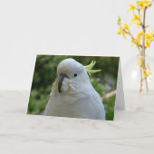 Terugkeer van de amandel muncher! kaart (Gele Bloem)