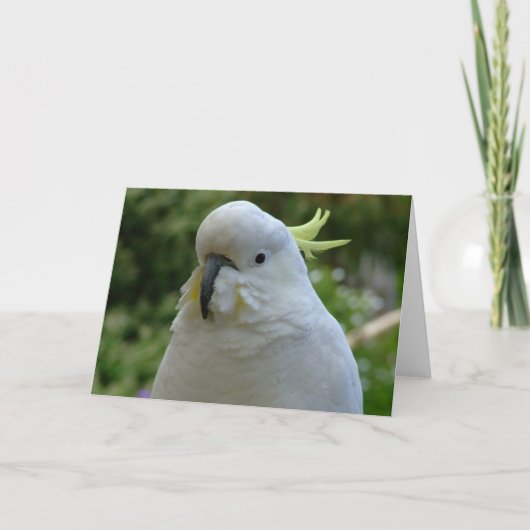 Terugkeer van de amandel muncher! kaart (Voorkant)