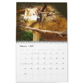 Terugkeer van de Grijze Wolf Kalender (Feb 2027)
