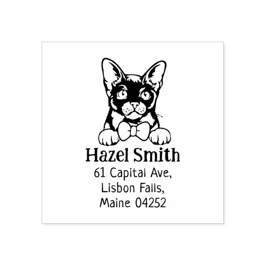 Terugkeeradres Birmese kat Rubberstempel (Afrduk)