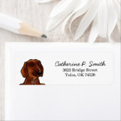 Terugkeeradres Dachshund Etiket (Insitu)