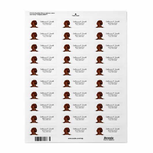 Terugkeeradres Dachshund Etiket (Full Sheet)