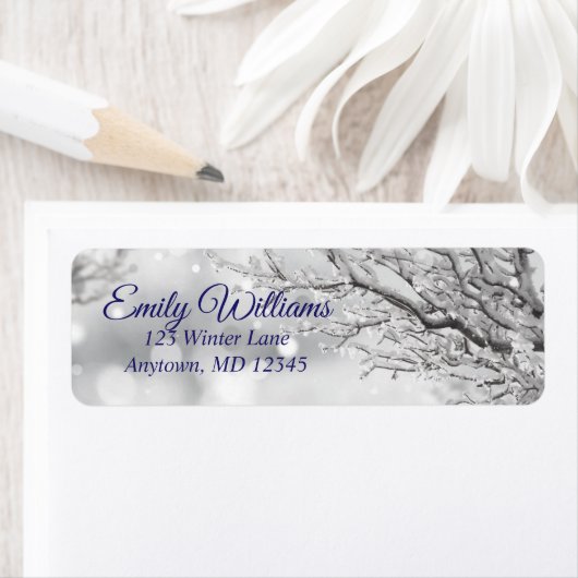 Terugkeeradres van mousserende sneeuw en ijs etiket (Insitu)