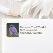 Terugkeeradreslabel van Bluebird Etiket (Insitu)