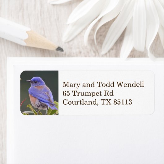 Terugkeeradreslabel van Bluebird Etiket (Insitu)