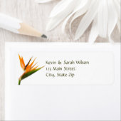 Terugkeeradreslabels voor vogels van het paradijs etiket (Insitu)