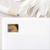 Terugkeerlabels voor kip etiket (Insitu)