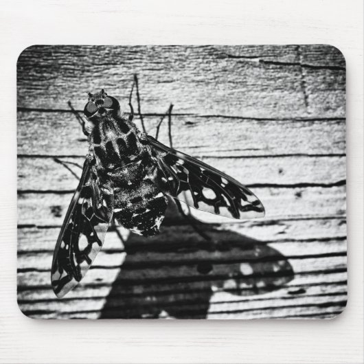 terugvliegen muismat (Voorkant)