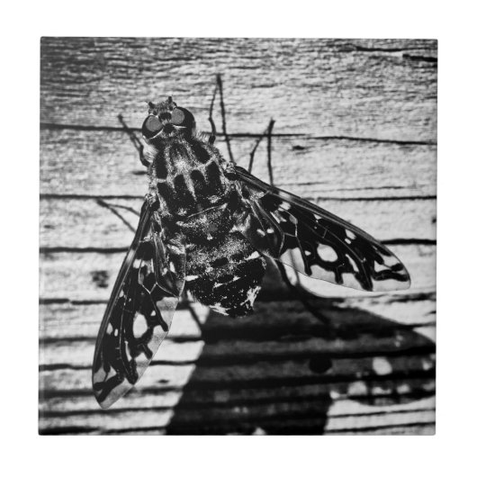 terugvliegen tegeltje (Voorkant)