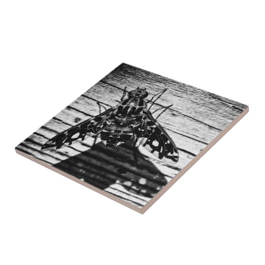 terugvliegen tegeltje (Zijkant)