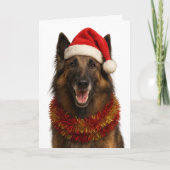 Tervuren in a Santa hat Christmas card Kaart (Voorkant)