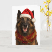Tervuren in a Santa hat Christmas card Kaart (Gele Bloem)