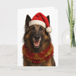 Tervuren in een kerstmuts kerstkaart kaart