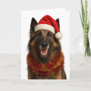 Tervuren in een kerstmuts kerstkaart kaart