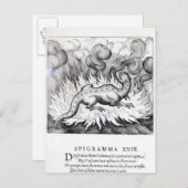 Terwijl de Salamander in brand leeft Briefkaart (Voorkant / Achterkant)