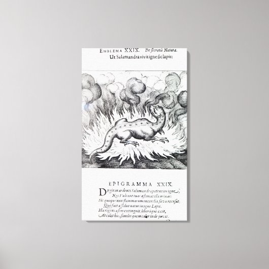Terwijl de Salamander in brand leeft Canvas Afdruk (Voorkant)
