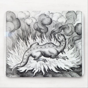 Terwijl de Salamander in brand leeft Muismat