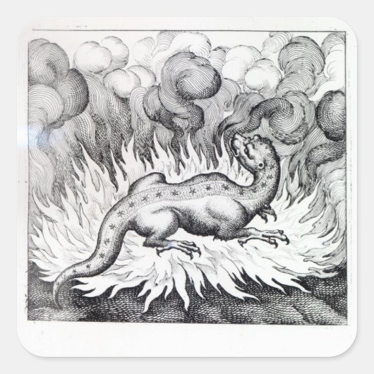 Terwijl de Salamander in brand leeft Vierkante Sticker (Voorkant)