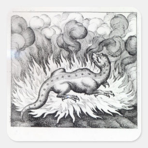 Terwijl de Salamander in brand leeft Vierkante Sticker