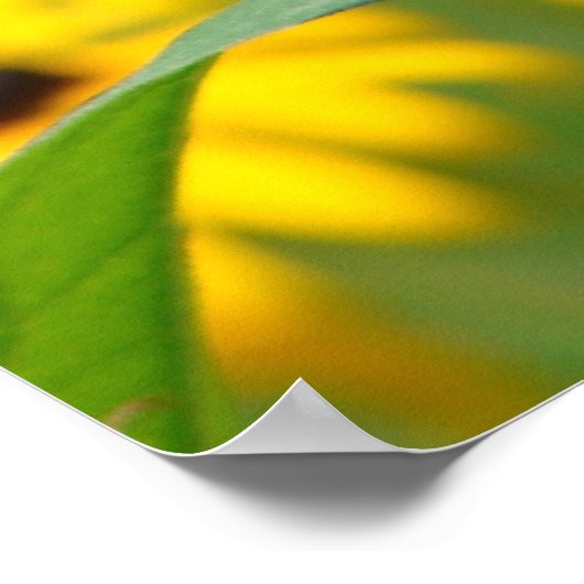 Terwijl de tuin groeit poster (Hoek)