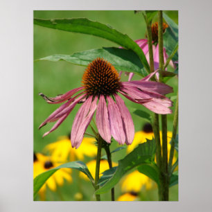 Terwijl de tuin groeit poster