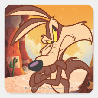 TERWIJL E. COYOTE™ armen gekruist Vierkante Sticker