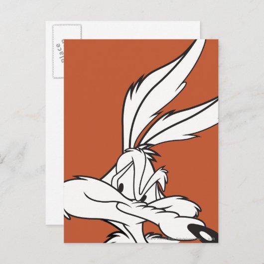 TERWIJL E. COYOTE™ er stiekem uitziet Briefkaart (Voorkant / Achterkant)