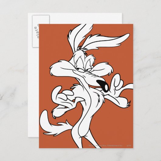 TERWIJL E. COYOTE™ er tevreden uitziet Briefkaart (Voorkant / Achterkant)