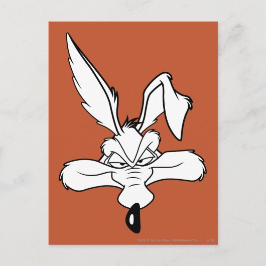 TERWIJL E. COYOTE™ Happy Head Shot Briefkaart (Voorkant)