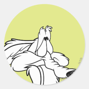 TERWIJL E. COYOTE™ omhoog kijkt Ronde Sticker