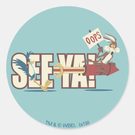 TERWIJL E. COYOTE™ raketten voorbij ROAD RUNNER™ Ronde Sticker (Voorkant)