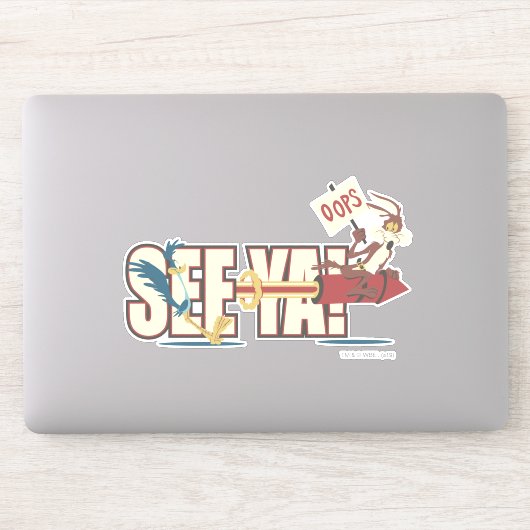 TERWIJL E. COYOTE™ raketten voorbij ROAD RUNNER™ Sticker (Computer)