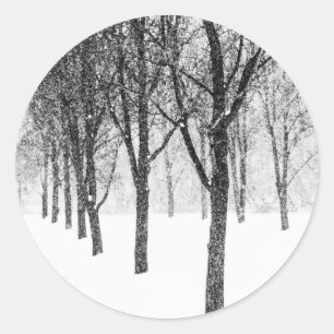 terwijl ik de kant van bomen kies ronde sticker
