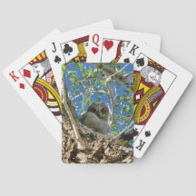 Terwijl jij kaart speelt
