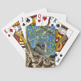 Terwijl jij kaart speelt