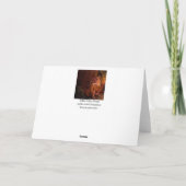 Terwijl Mary Sleeps Feestdagen Kaart (Achterkant)