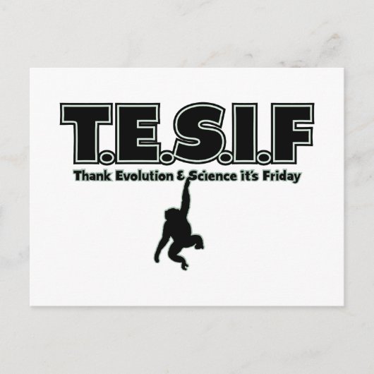 TESIF BRIEFKAART (Voorkant)