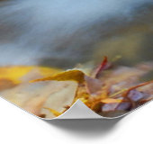 Teskawata Herfsten Poster (Hoek)