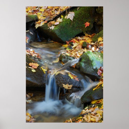 Teskawata Herfsten Poster (Voorkant)