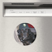 TESLA DE BUITENAARDSE HOND MAGNEET (Insitu (Vaatwasser))