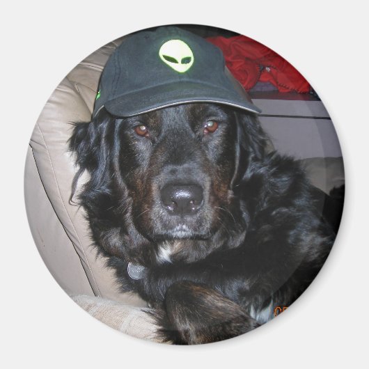 TESLA DE BUITENAARDSE HOND MAGNEET (Voorkant)