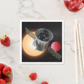 TESS Planet Hunter Spacecraft Servet (Insitu)